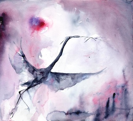 Egret Eclipse  June 29, 2011 hd